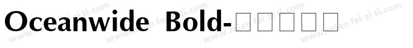 Oceanwide Bold字体转换